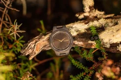 Aarni Vega Rannekello, Eebenpuu