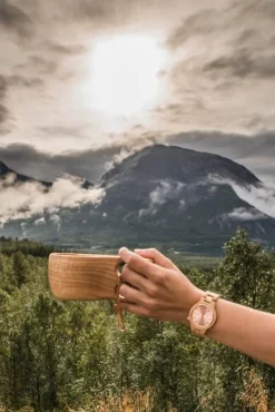 Aarni Vega Rannekello, Saarni